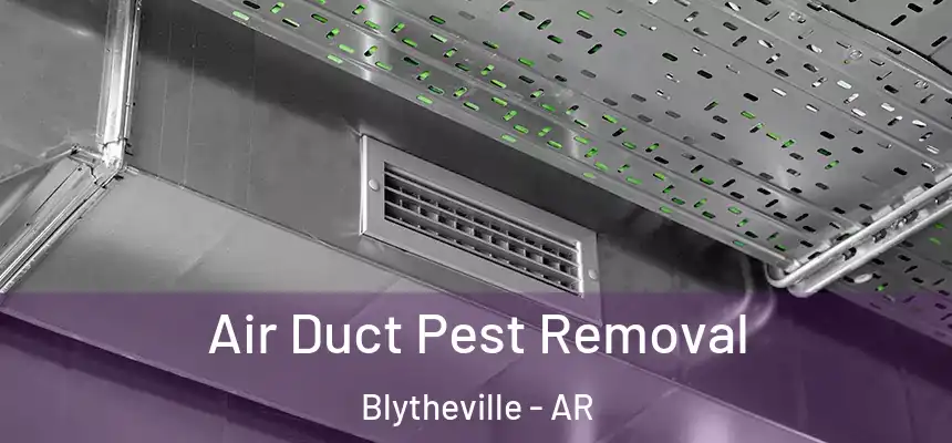 Air Duct Pest Removal Blytheville - AR
