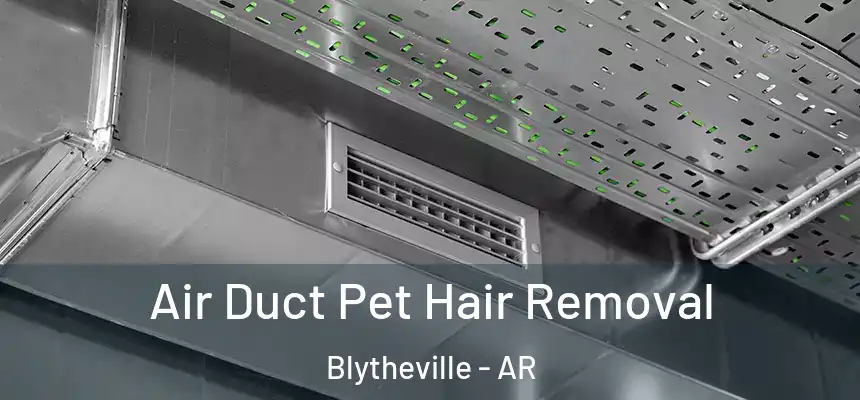  Air Duct Pet Hair Removal Blytheville - AR