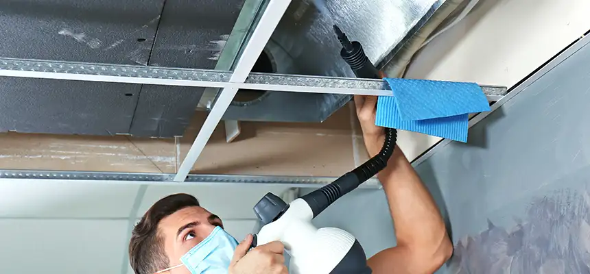 Our Air Duct Rodent Removal Services in Blytheville, AR