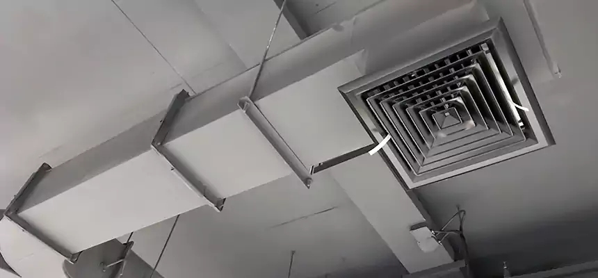 Restorative Allergy Relief Vent Cleaning – Coil, Blower & Housing Detail in Blytheville