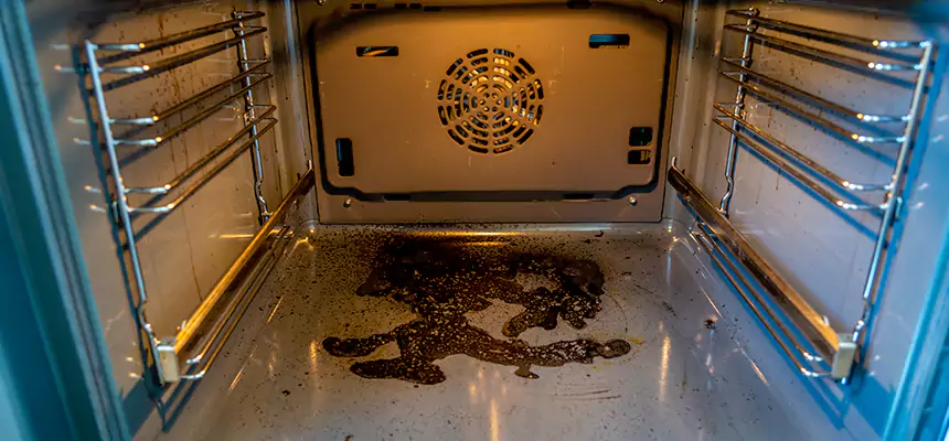 Our Dryer Vent Mold Cleaning Services in Blytheville, AR