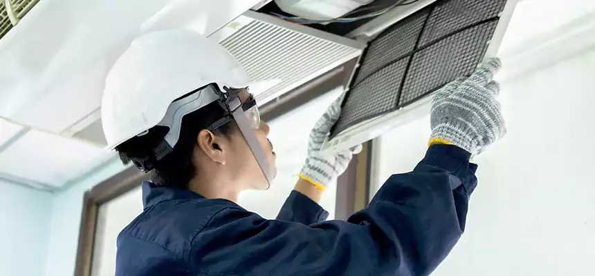 Our Mold & Mildew Removal from Air Ducts Services in Blytheville, AR