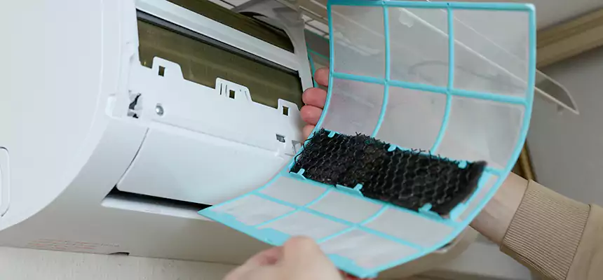 Gentle Ductwork Odor-Control Pet Dander Duct Cleaning in Blytheville, AR