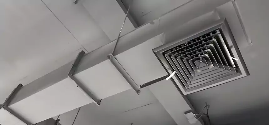 Our Rodent Droppings In Vents Services in Blytheville, AR