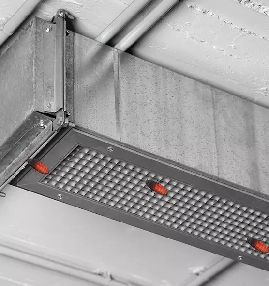 About Air Duct Cockroach Removal in Blytheville, AR