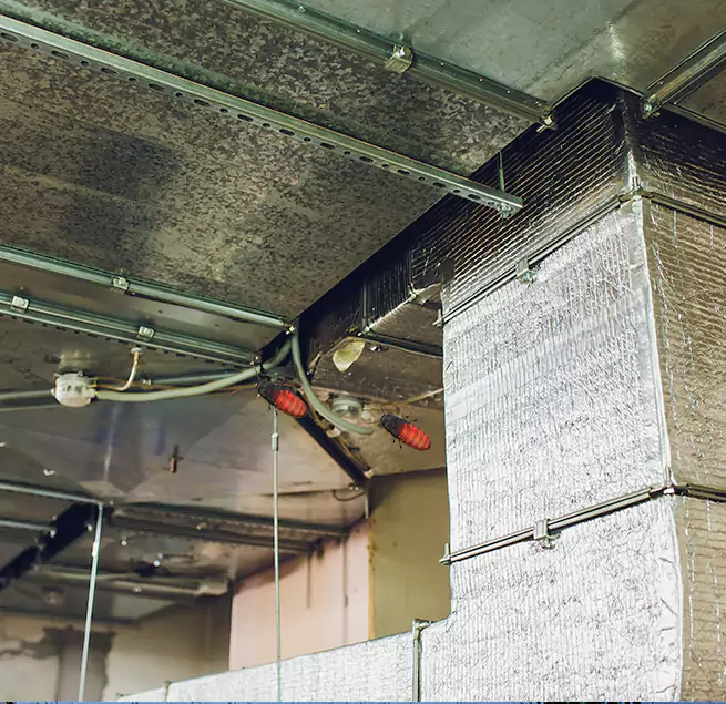 Why Homeowners & Businesses Trust Us in Blytheville, AR?