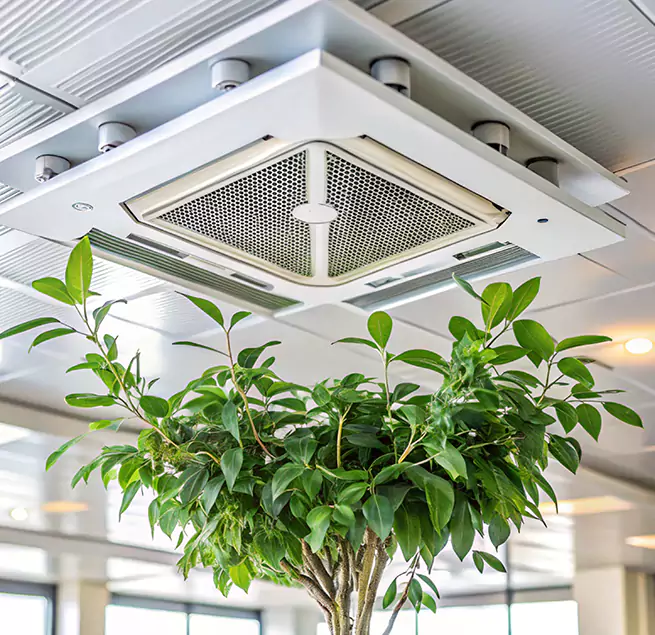 Why Homeowners & Businesses Trust Us in Blytheville, AR?